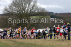 Boys under-13s, 2018 Northern Cross Country Champs., Harewood House, Leeds. Photo: David T. Hewitson/Sports for All Pics